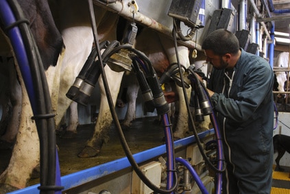 Cessation d’activité lait : le dispositif ACAL reconduit mais divisé par deux