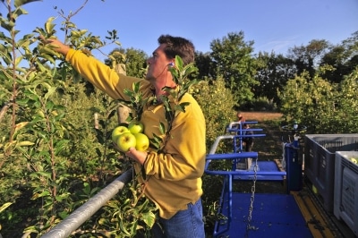 Aides à la plantation de vergers arboricoles