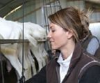 Production caprine : un résultat 2013 de 13 800 € sur les Pays de la Loire
