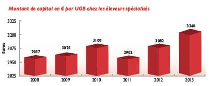 Viande bovine - Résultats éco et financiers - Pays de la Loire - 2013