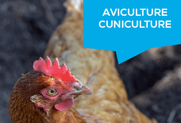 Observatoire économique : Aviculture, Cuniculture