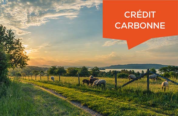 crédits carbones en élevage