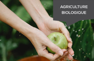 agriculture biologique
