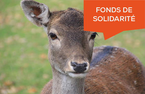 fonds de solidarité gibiers