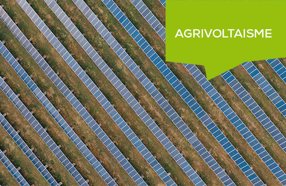 agrivoltaisme