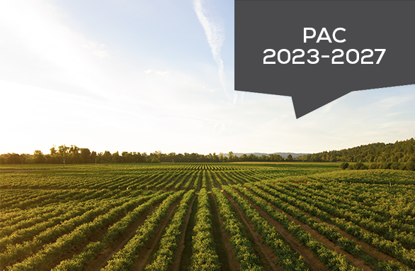 PAC 2023 avances