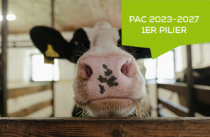 PAC 2023-2027 1er pilier