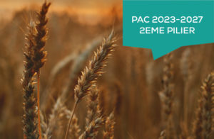 PAC 2023-2027 2eme pilier