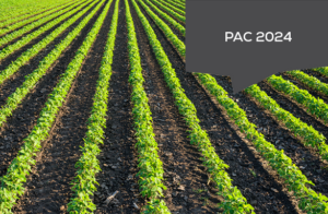 PAC 2024