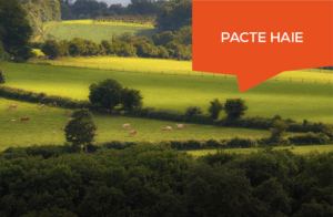 Pacte haie