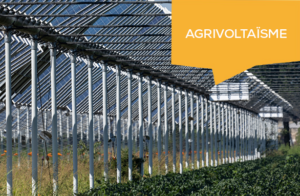Agrivoltaïsme