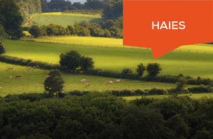 Haies