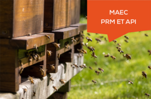MAEC API et PRM