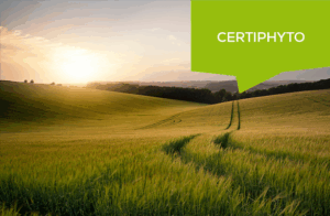Prolongation Certiphyto