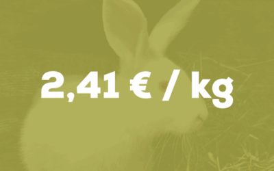 Le chiffre du mois – Lapins