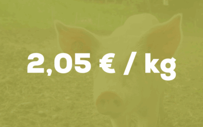Le chiffre du mois – Porcs