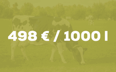 Le chiffre du mois – Vaches laitières