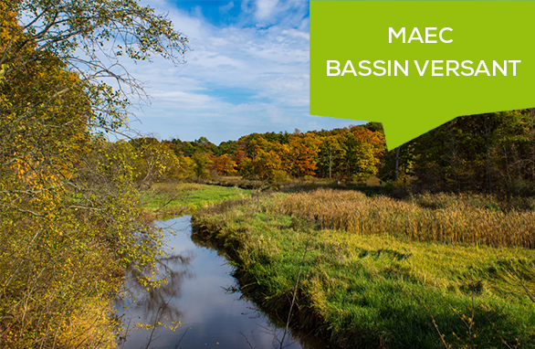 MAEC Bassins Versant srégion