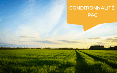 Contrôle conditionnalité PAC : le guide pour se préparer au volet environnement