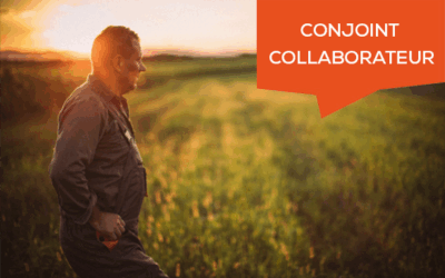 Fin du statut de conjoint collaborateur : anticipez avant 2026 !