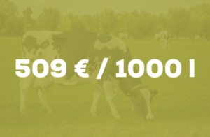 Chiffres clés Vaches laitières