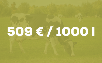 Le chiffre du mois – Vaches laitières