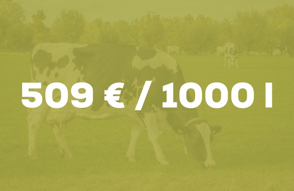 Chiffres clés Vaches laitières