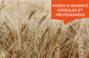 fonds urgence céréales 2026