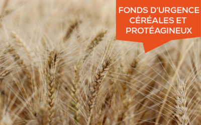 Fonds d’Urgence Céréales et Protéagineux : un dispositif ouvert depuis le 23 février