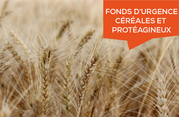 fonds urgence céréales 2026