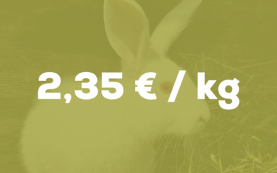 Les chiffres du mois – Lapins
