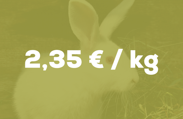 Chiffres clés lapins 2025