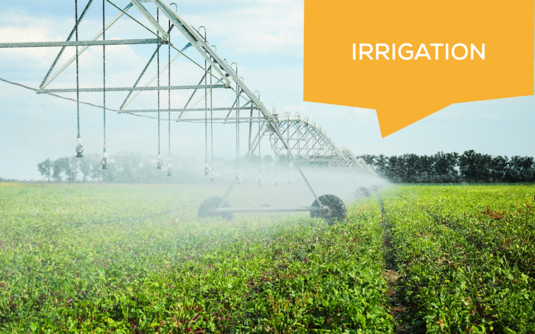 Irrigation 2027 Baie de l'Aiguillon